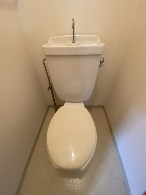 トイレ　しんぷるいずべたー