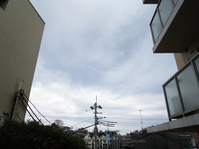 S-FORT玉川学園前のその他写真