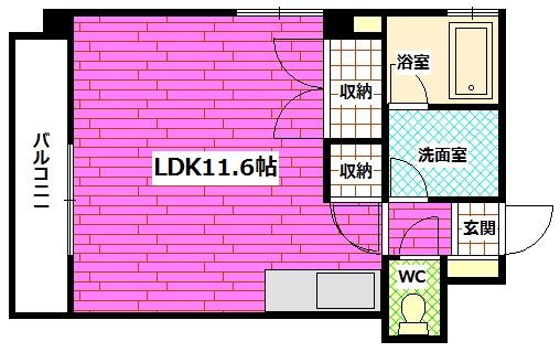 ヴェラーレ新大州橋の間取り写真