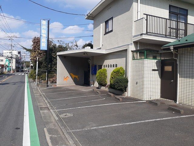 病院　桜井動物病院（病院）まで416m