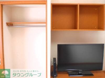 その他部屋・スペース　テレビ脇のクローゼットはポール付です