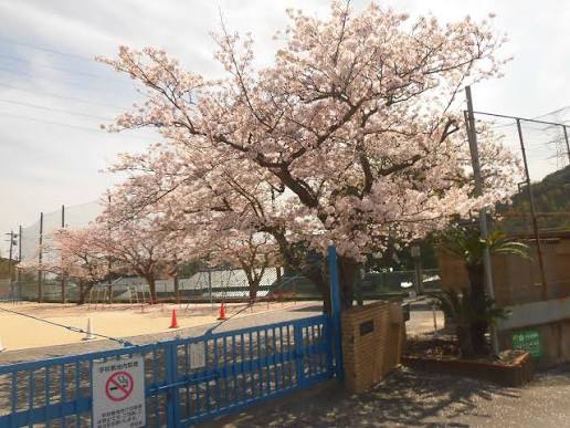 小学校　北九州市立大積小学校（小学校）まで1119m