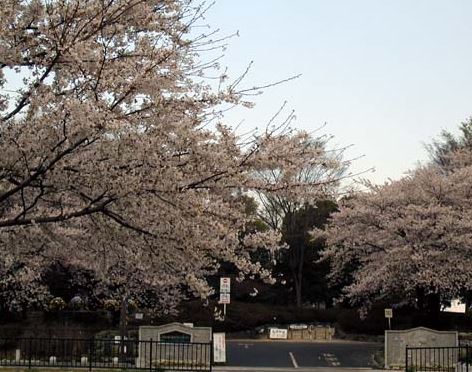 【ＣＲＡＳＴＩＮＥ土呂の公園】