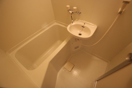 バス・シャワールーム　※別部屋の写真です