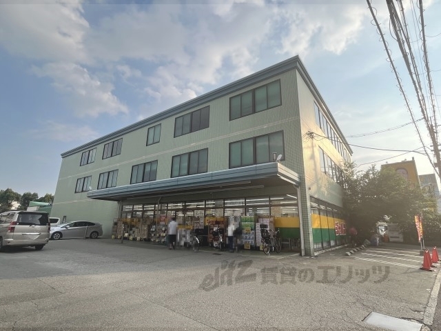 ドラックストア　ジャパン伊丹店（ドラッグストア）まで550m