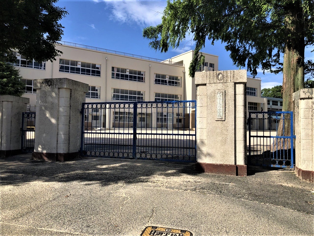 小学校　下関市立文関小学校（小学校）まで587m