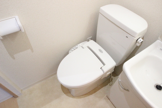 トイレ　※別号室の写真です