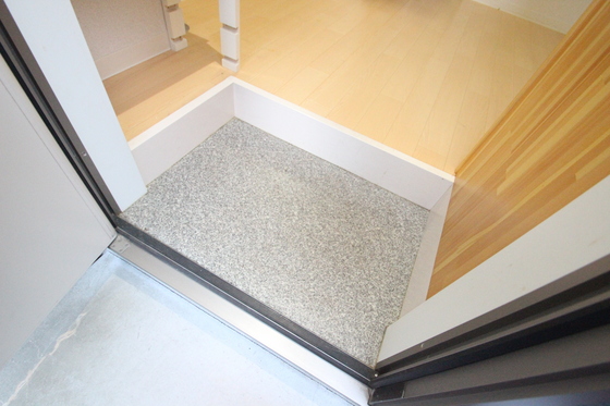 玄関　※別号室の写真です