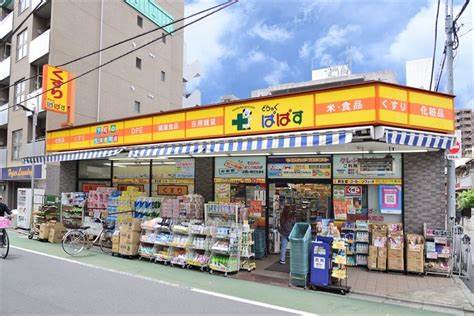 ドラックストア　どらっぐぱぱす板橋清水町店（ドラッグストア）まで176m