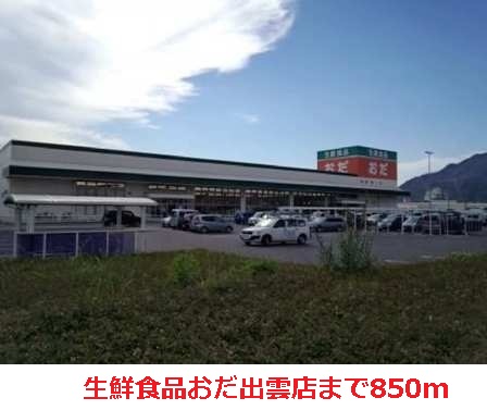 その他　生鮮食品おだまで850m