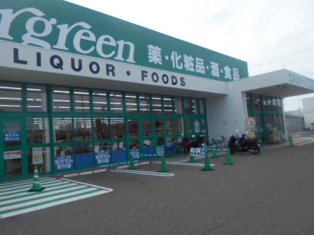 ドラックストア　エバー・グリーン布引店様（ドラッグストア）まで1200m