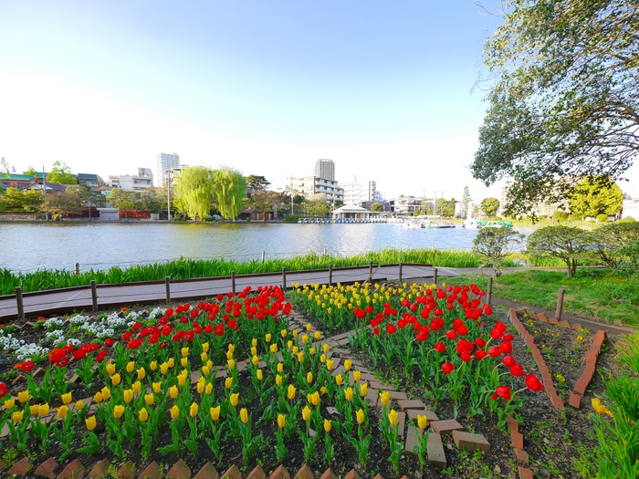 公園　石神井公園（公園）まで700m