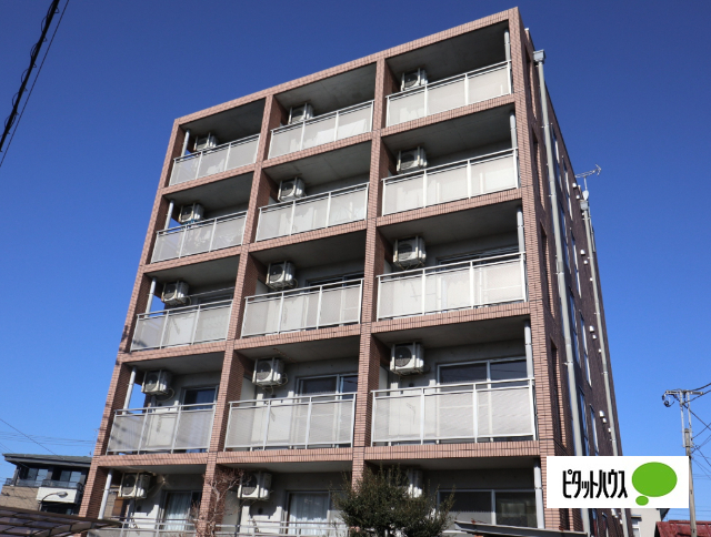 建物外観　南向き！陽当たり良好