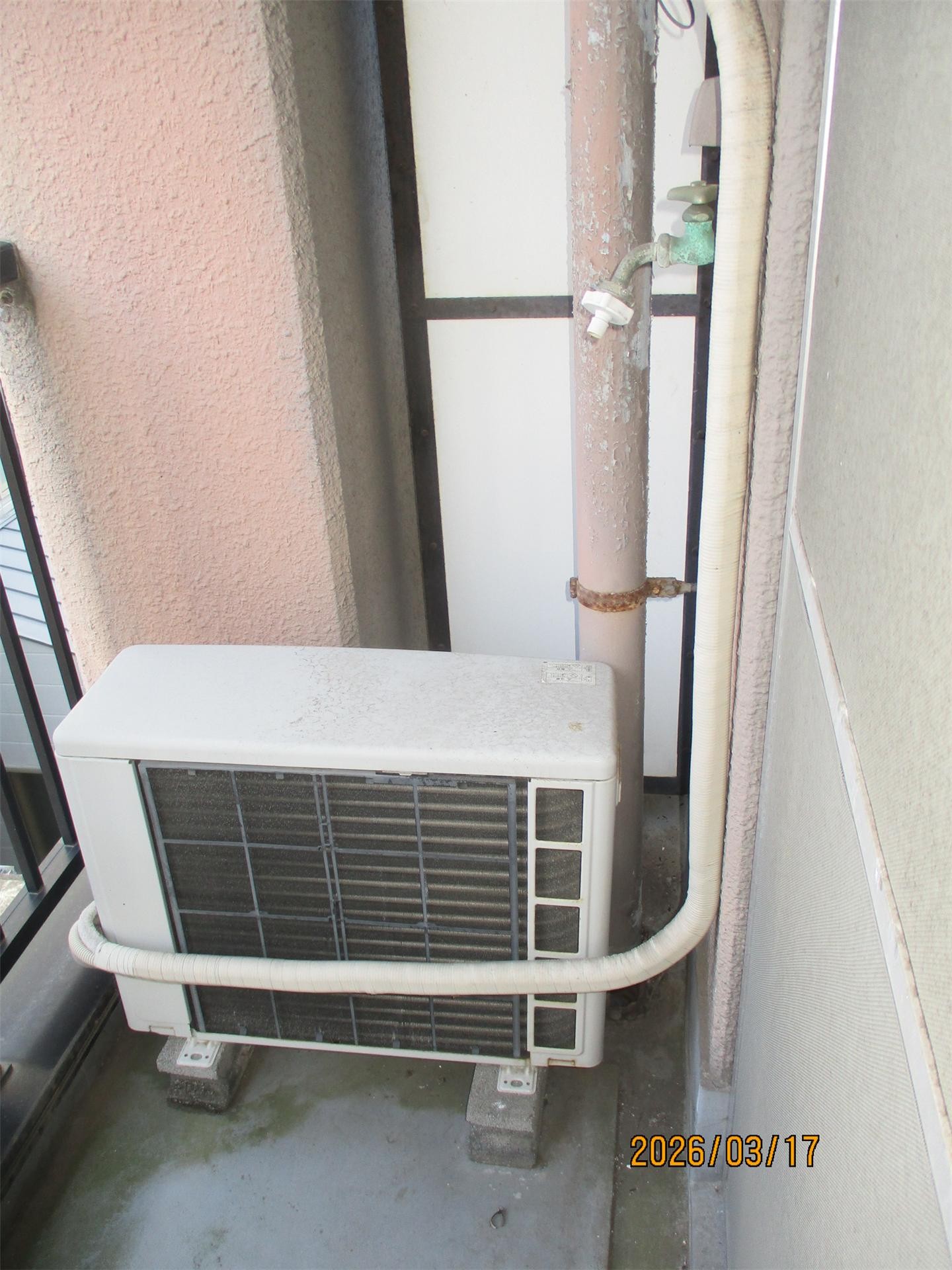 木内ハイツのその他写真