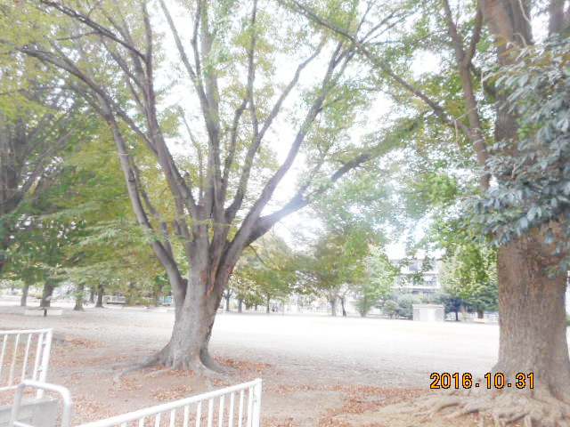 公園　荒川公園（公園）まで390m