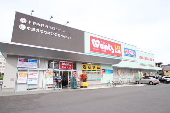 ドラックストア　ウォンツ中須店（ドラッグストア）まで729m