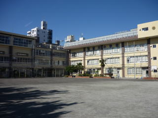 小学校　江東区立東川小学校（小学校）まで313m