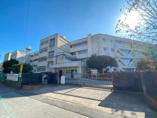 小学校　松戸市立八ケ崎小学校（小学校）まで888m