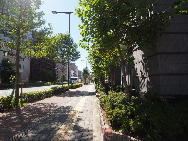 その他　周辺（その他）まで10m