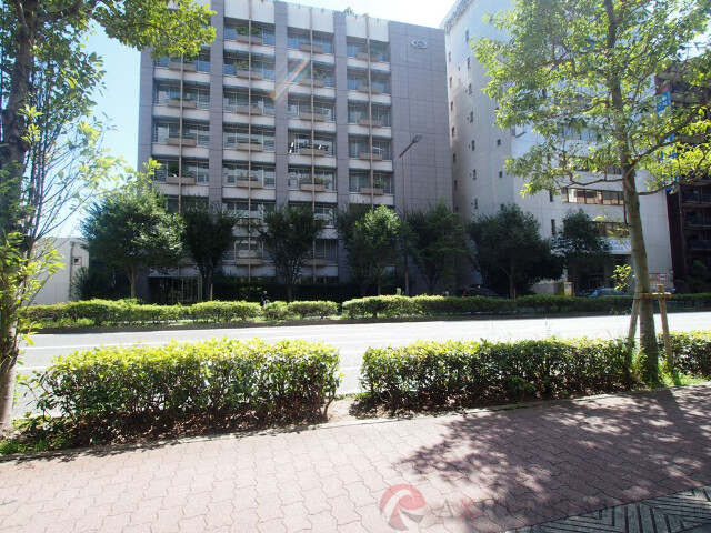 その他　周辺（その他）まで10m