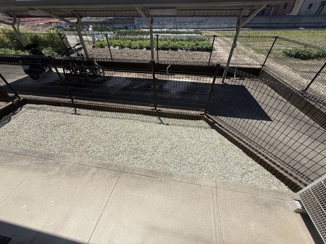 庭