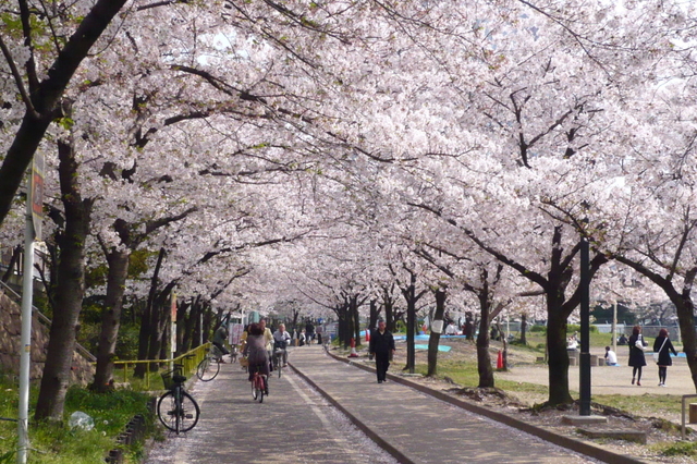 その他　毛馬桜宮公園（その他）まで168m