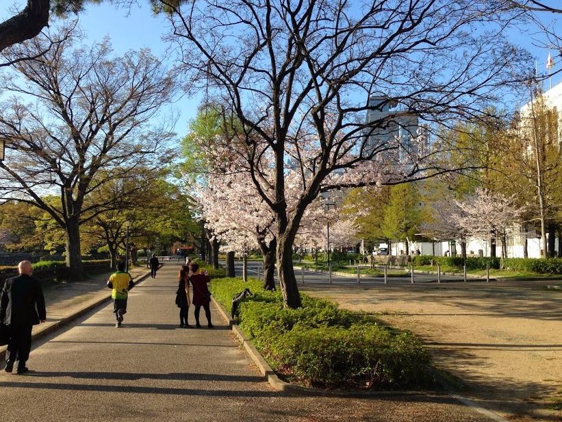 公園　大阪城公園（公園）まで425m