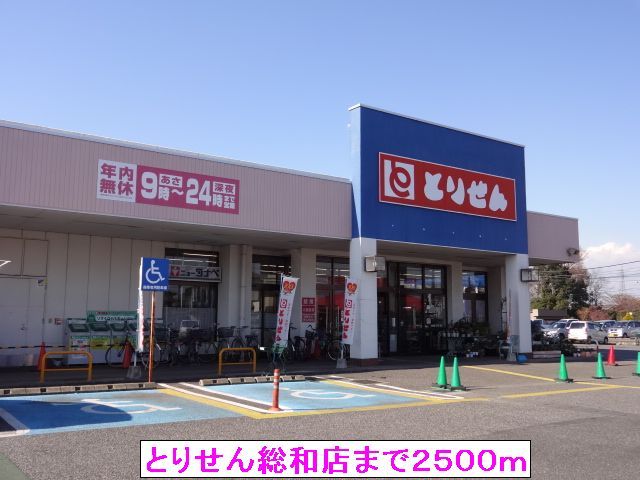 スーパー　とりせん総和店（スーパー）まで2500m