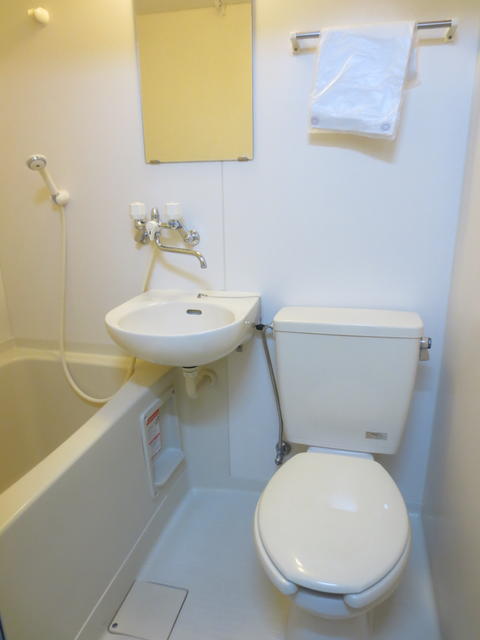 バス・シャワールーム　他のお部屋です