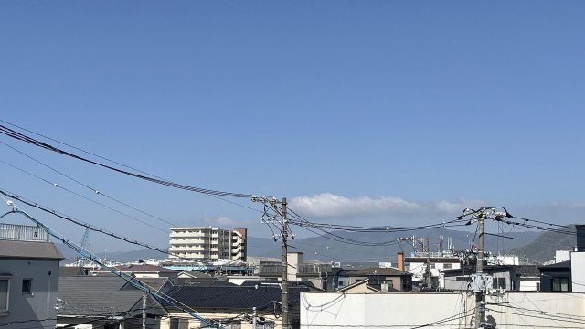 眺望　邪魔な建物がないので気持ちが良いです