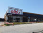 スーパー　albis(アルビス) 姫野店（スーパー）まで388m