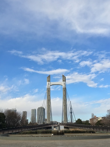 公園　木場親水公園（公園）まで883m
