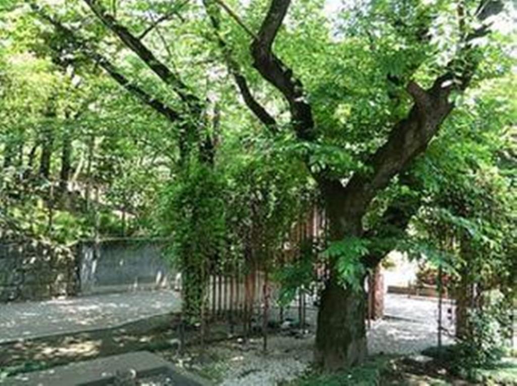 公園　乃木公園（公園）まで435m