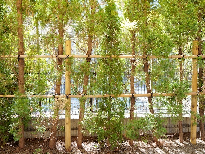 眺望　洋室からの眺望です。植栽が目隠しになり、人目が気になりません