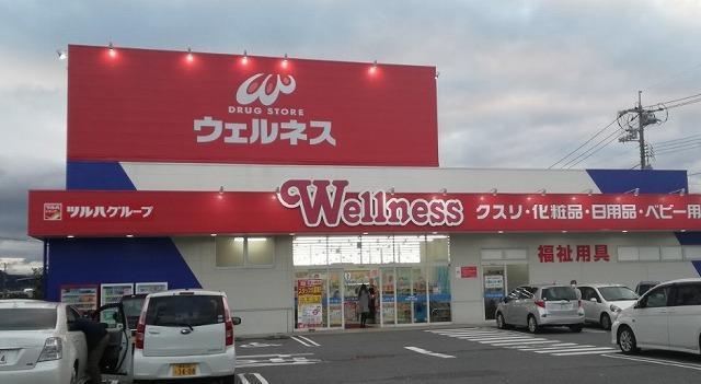 ドラックストア　ウェルネス（ドラッグストア）まで250m