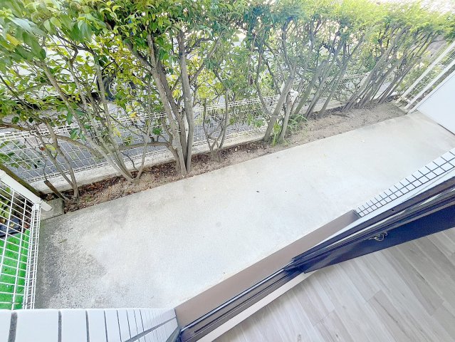 庭