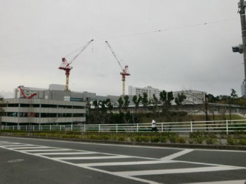 ドラックストア　ウインダーランド浜松医大前店（ドラッグストア）まで237m