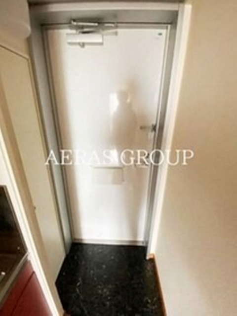 玄関　同仕様タイプ