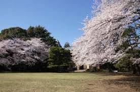 公園　目黒区立駒場公園（公園）まで647m