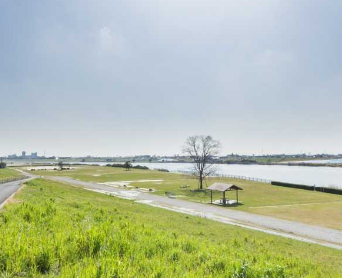 公園　江戸川河川敷緑地（公園）まで1800m