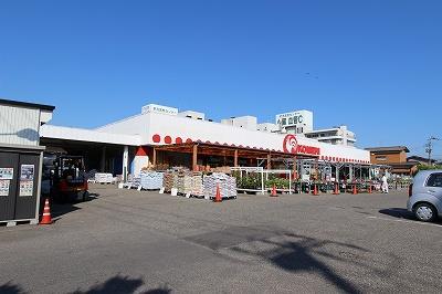 ホームセンター　コメリハード＆グリーン小針店（ホームセンター）まで1683m