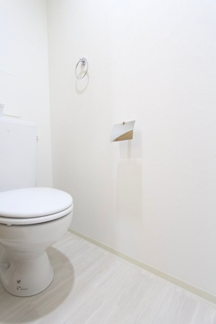 トイレ　落ち着いたトイレです