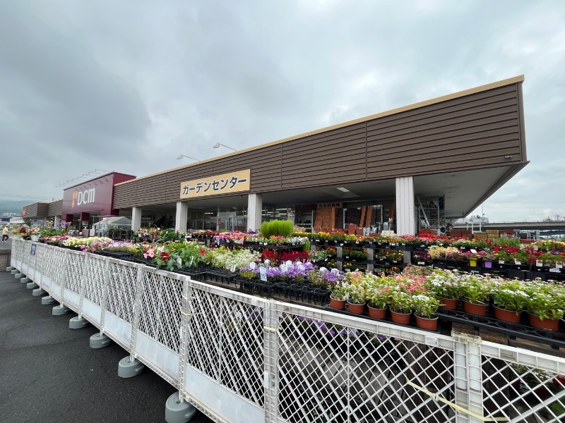 ホームセンター　DCM発寒追分通店（ホームセンター）まで1156m