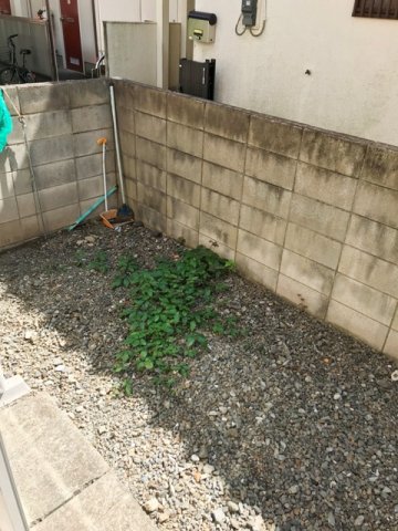 庭