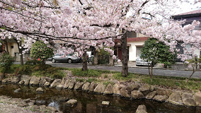 公園　中央森林公園（公園）まで667m