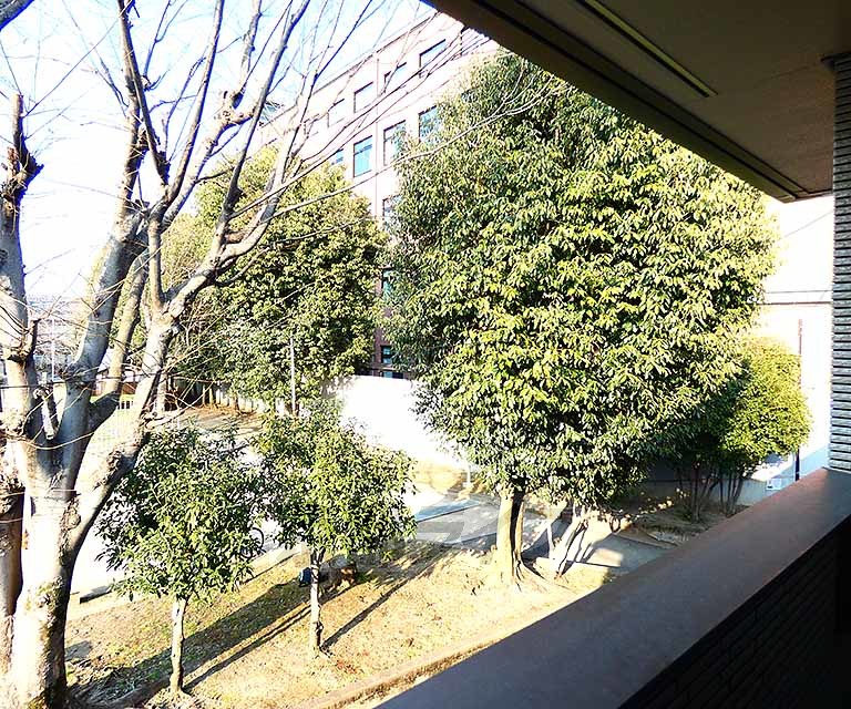眺望　室外風景です。