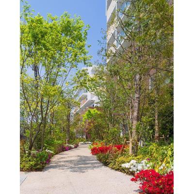 その他　敷地内植栽（その他）まで10m