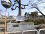 公園　八雲北公園（公園）まで547m
