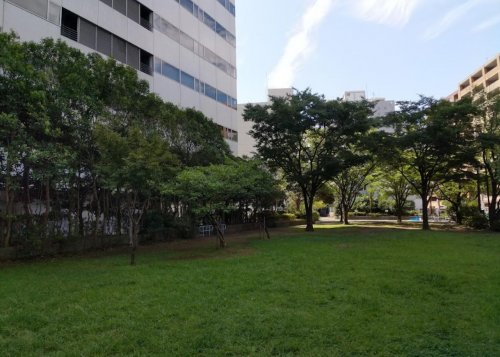 公園　新田間川緑地（公園）まで1300m