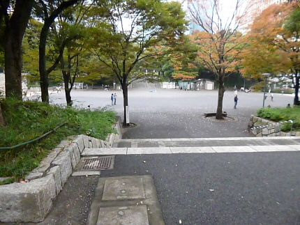 公園　新宿中央公園（公園）まで84m